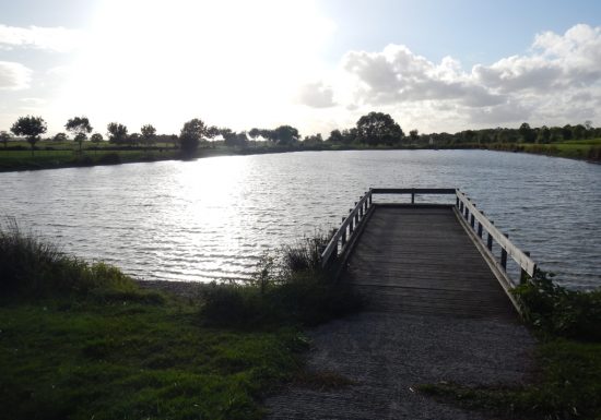 Pêche au plan d’eau Tout lui faut