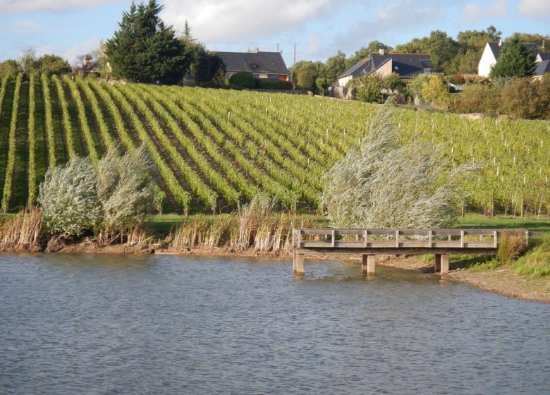 PÊCHE AU PLAN D’EAU TOUT LUI FAUT