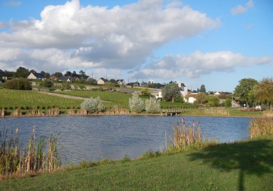 Pêche au plan d’eau Tout lui faut