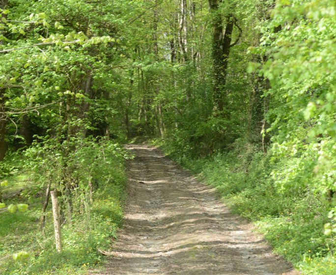 PARC DE LA GAUTRÊCHE