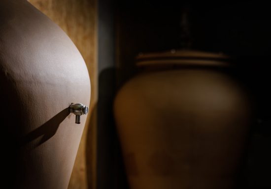 Vignoble Musset-Roullier