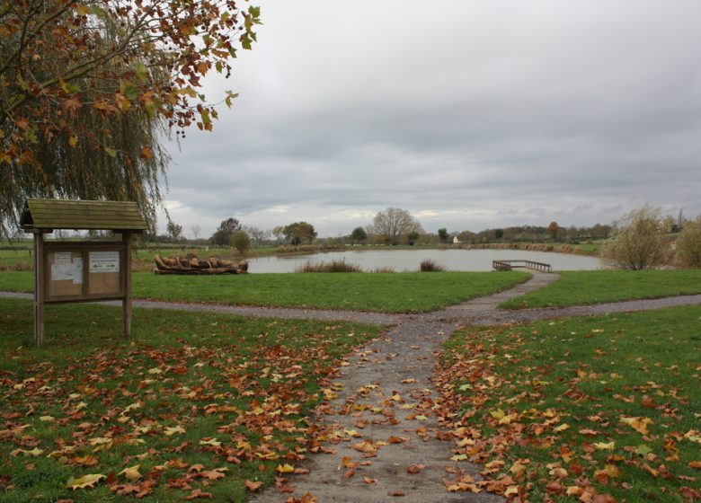 Étang de pêche de Tout lui faut (Stade)