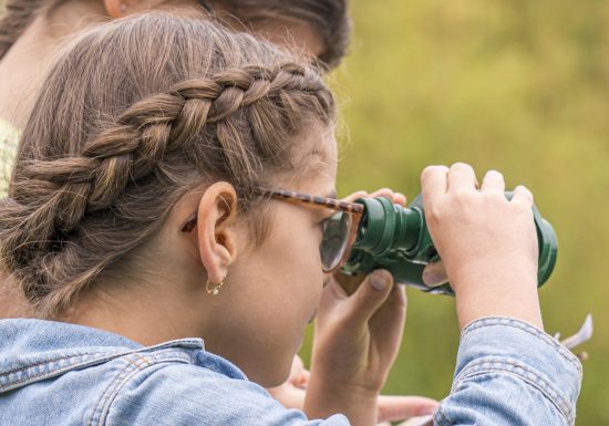 Animation nature sur les oiseaux à Cap Loire à Montjean sur loire