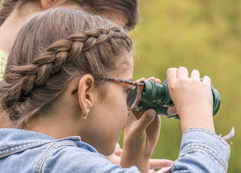Animation nature sur les oiseaux à Cap Loire à Montjean sur loire
