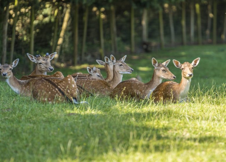 Natural’Parc