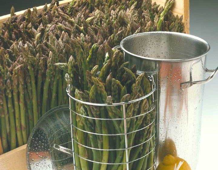 Donovan Roland (anciennement Gallier)