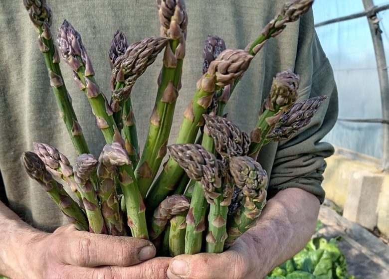 La Ferme du Cormier, maraicher biologique