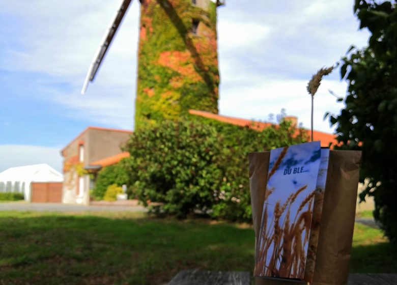 Atelier apprenti boulanger au Moulin de l’Epinay