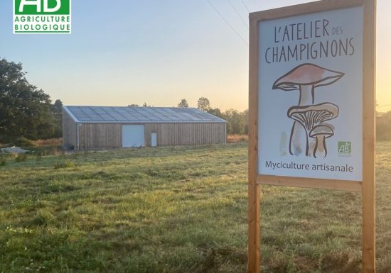 L’atelier du champignon