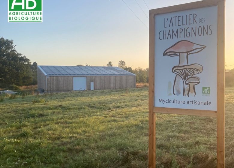 L’atelier du champignon