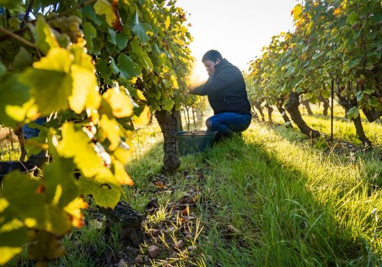 Domaine de la Cambuse