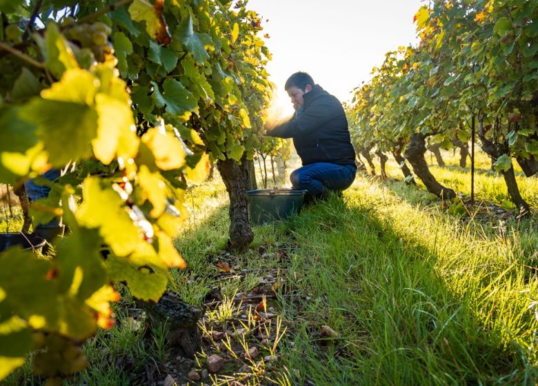 Domaine de la Cambuse