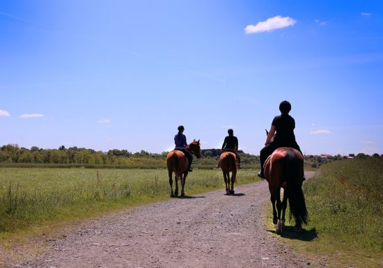 Route Européenne D’Artagnan