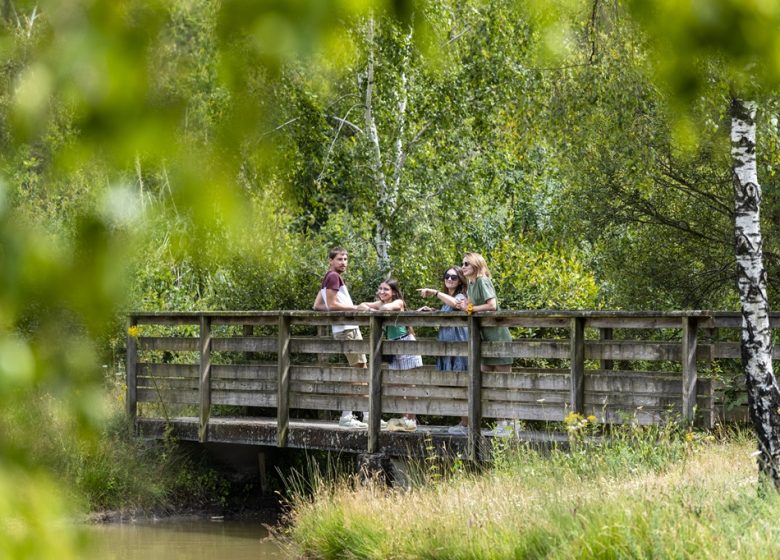 Aire de pique-nique Etang des Bruyères au Fuilet