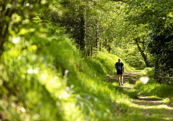 Sentier d’interprétation “Le Rocher du Manis” /!\ Fermé temporairement