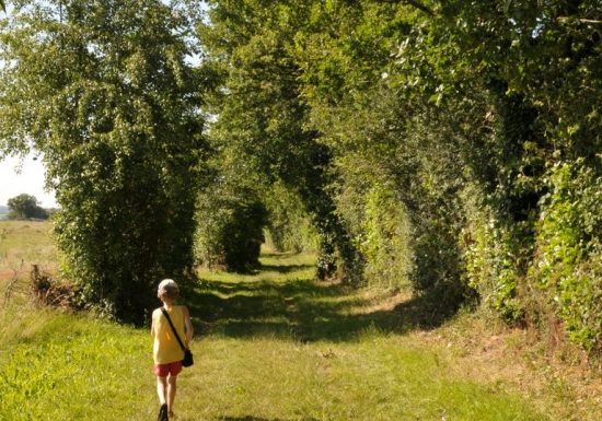 Sentier d’interprétation “Le Rocher du Manis” /!\ Fermé temporairement