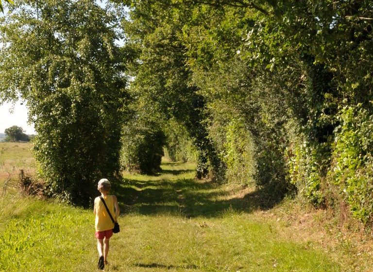 Sentier d’interprétation “Le Rocher du Manis” /!\ Fermé temporairement