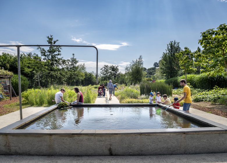 Initiation aux milieux aquatiques et ornithologiques de la Loire