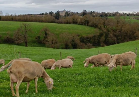 La Bergerie d’Orée