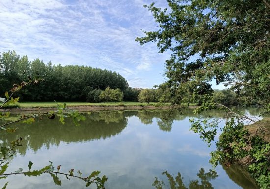 Balade découverte des boires de Drain