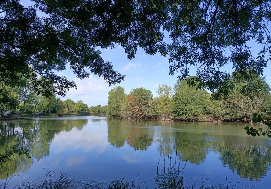 Balade découverte des boires de Drain