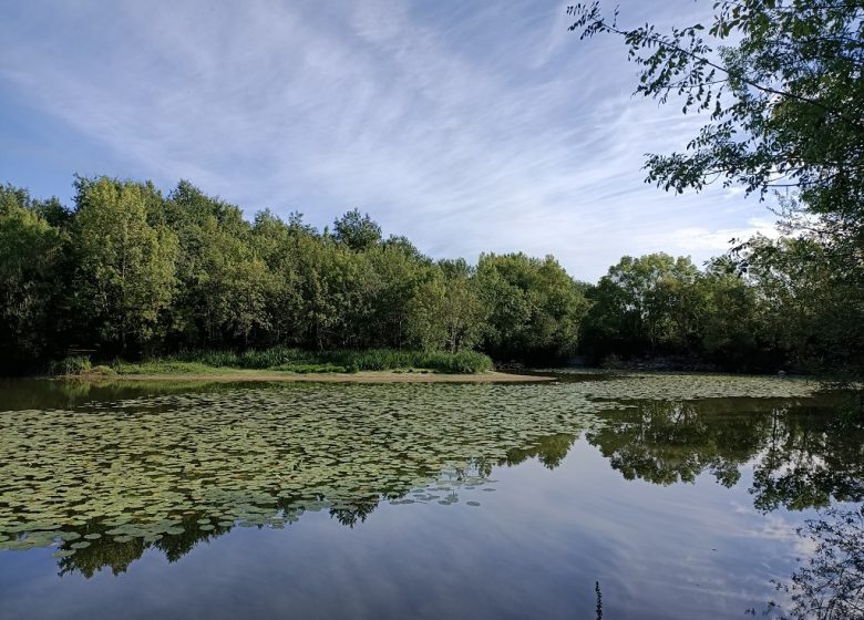 Balade découverte des boires de Drain