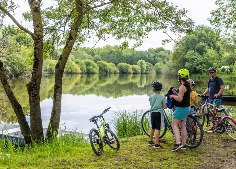 La Loire à Vélo, de Champotceaux à Liré “Entre boire et histoire”