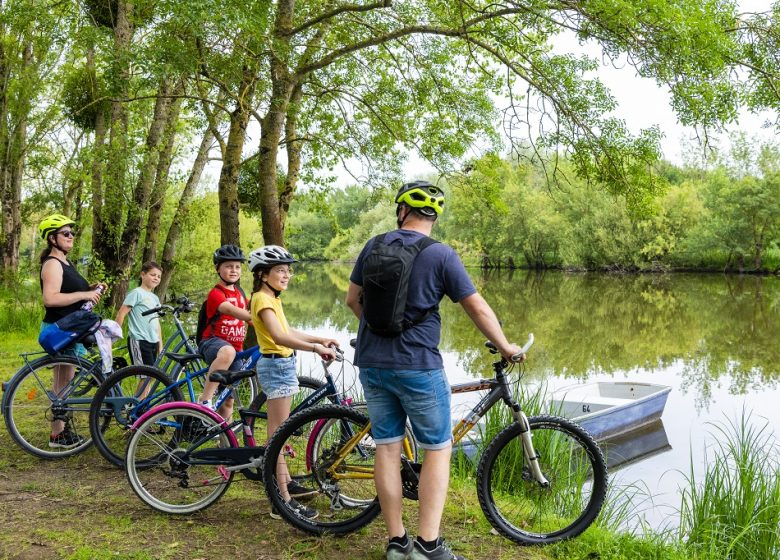 La Loire à Vélo, de Champotceaux à Liré “Entre boire et histoire”
