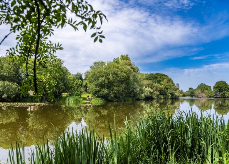 Aire de pique-nique de Beauregret