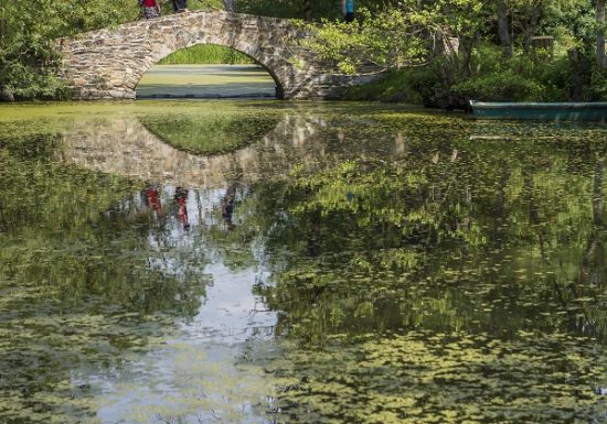 Aire de pique-nique + arrêt vélo à la Boire Sainte Catherine