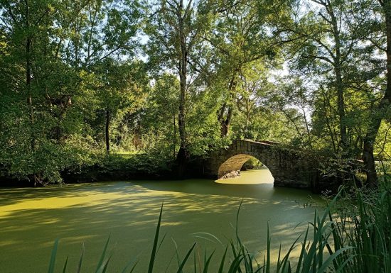 Aire de pique-nique + arrêt vélo à la Boire Sainte Catherine