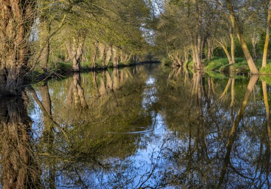 Pêche à la Boire Sainte-Catherine