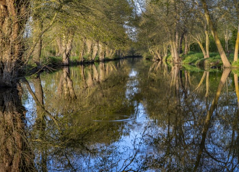 Pêche à la Boire Sainte-Catherine