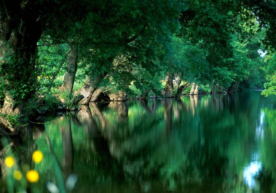 Randonnée “Autour de la boire Sainte-Catherine”