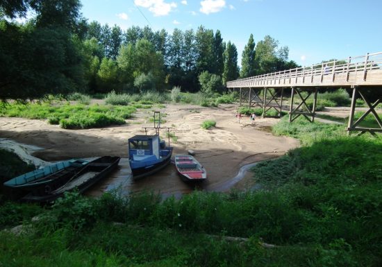 Pêche dans les boires de la Griserie, Chapoin et Queue de la Luce