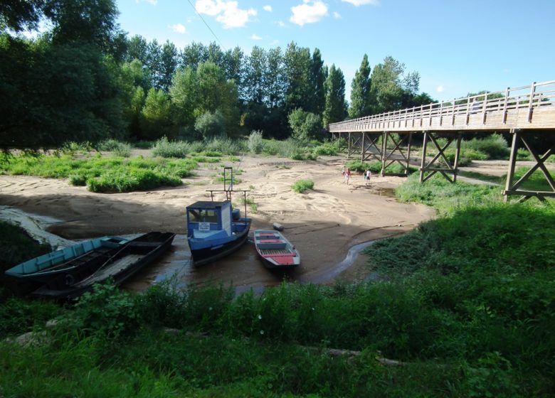 Pêche dans les boires de la Griserie, Chapoin et Queue de la Luce