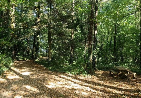 Aire de pique-nique de la Vallée du Graau