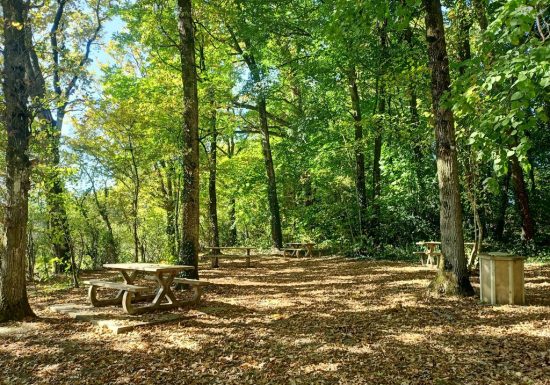 Aire de pique-nique de la Vallée du Graau