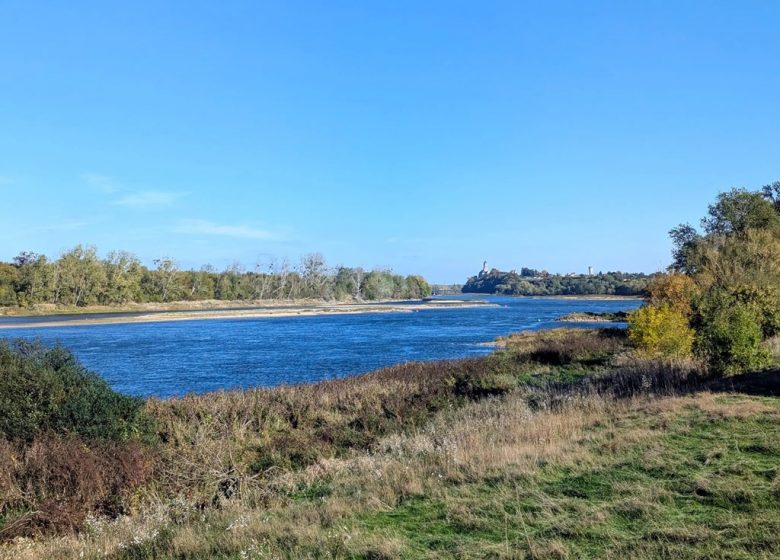 Parcours Canoë Loire N°6
