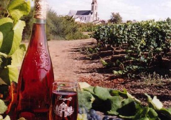 Domaine des Clérambaults – EARL Terrien