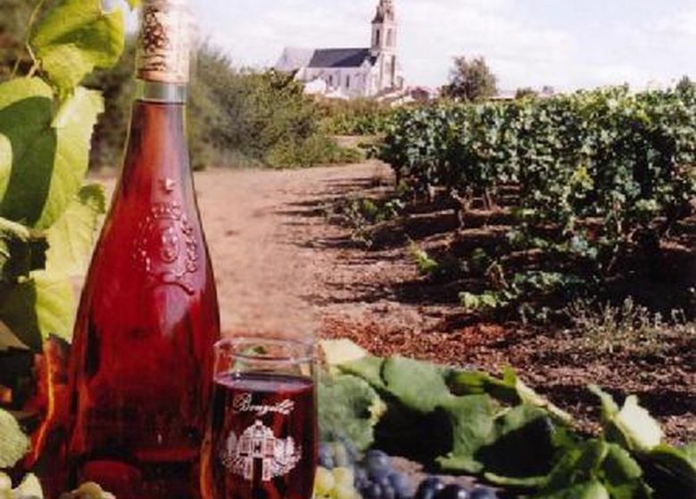 DOMAINE DES CLÉRAMBAULTS – EARL TERRIEN