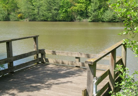 Étang de pêche de Coulvée