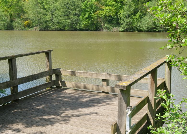 Étang de pêche de Coulvée