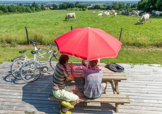 Aire de camping-car de la Guyonnière