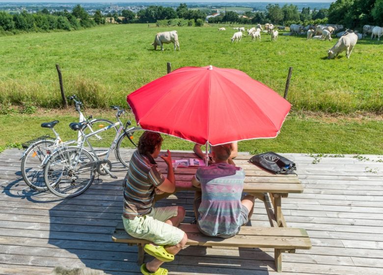 AIRE DE CAMPING CAR DE LA GUYONNIÈRE