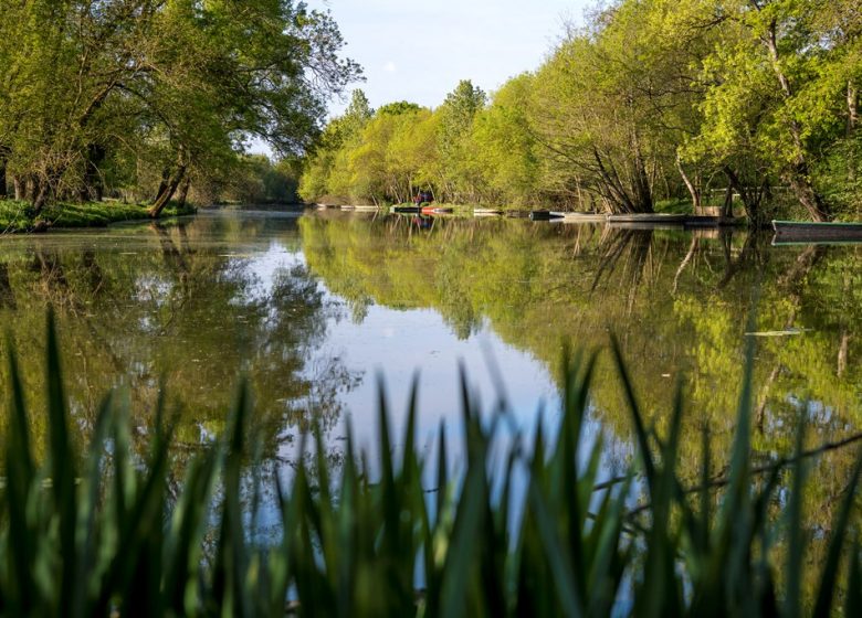 PÊCHE AU CHEMIN VERT DE NOTRE DAME DU MARILLAIS