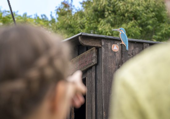 Rallye des oiseaux à Cap Loire