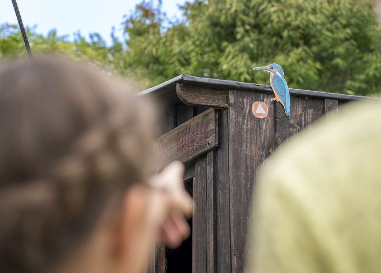 Rallye des oiseaux à Cap Loire