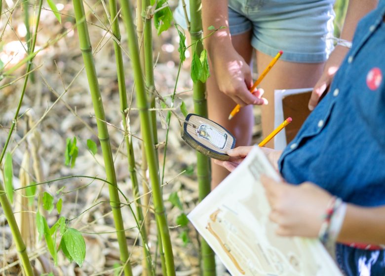 Animation Les passages secrets de Cap Loire