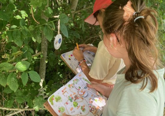 Animation : Chasse au trésor à Cap Loire